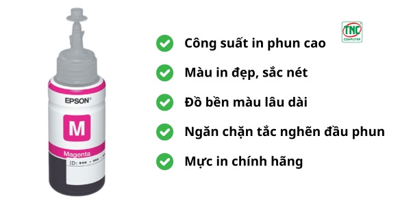 Mực in Epson T673 C13T673300