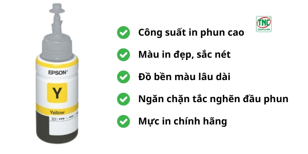 Mực in Epson T673 C13T673400