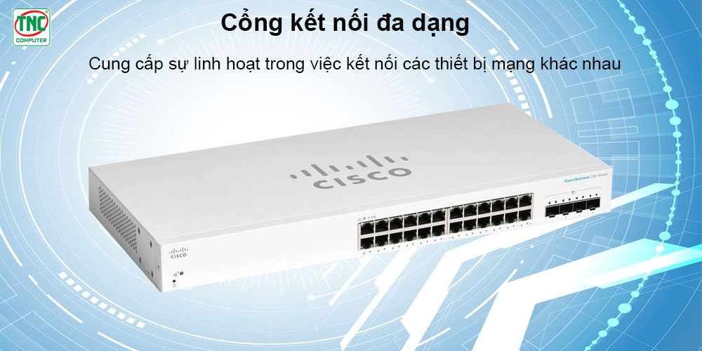Switch Cisco Unmanaged