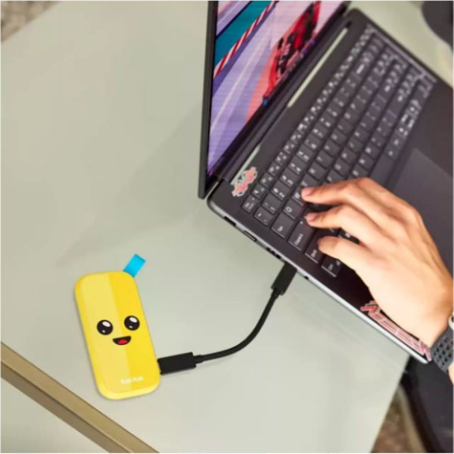 Ổ cứng SSD gắn ngoài Sandisk 1TB SDSSDE30-1T00-G25F