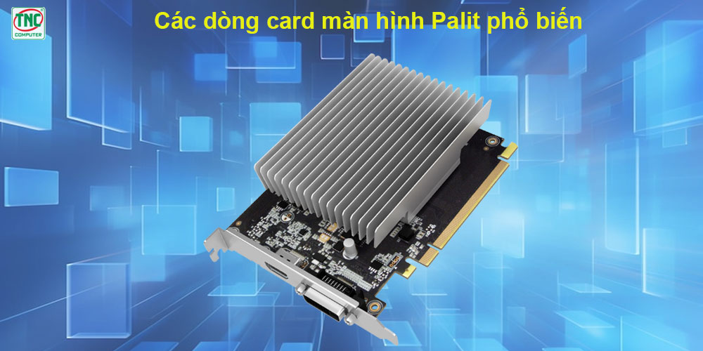 VGA Card Palit
