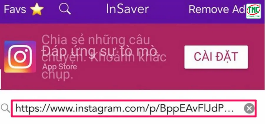 Mở ứng dụng InSaver for Instagram > Dán link vừa sao chép vào