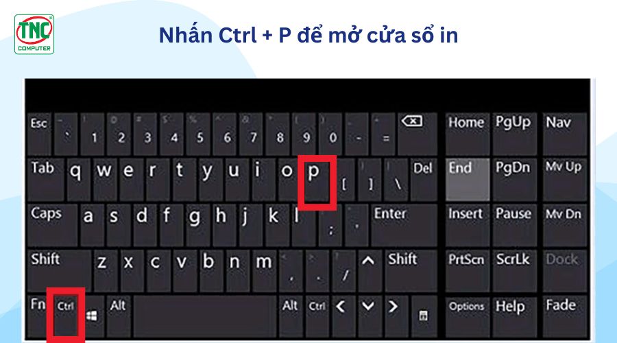 Lỗi máy in không in được 2 mặt win 10