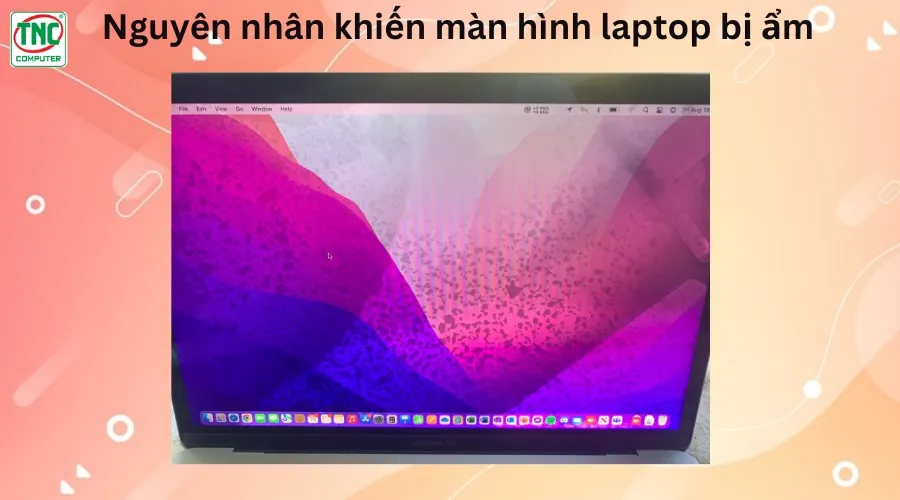 màn hình bị mốc