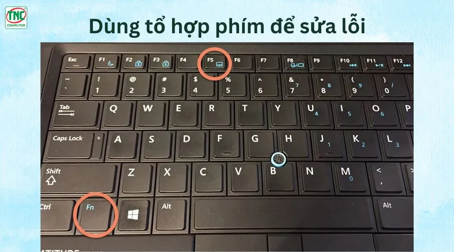 lỗi mất con trỏ chuột trên laptop