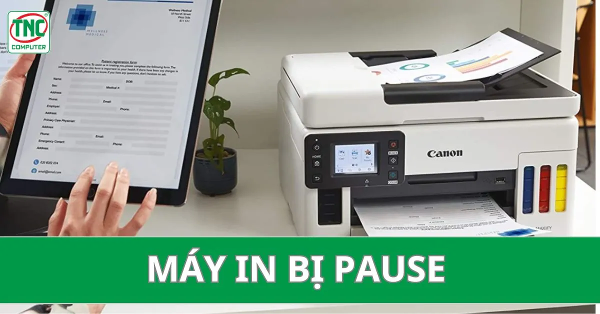 máy in bị pause