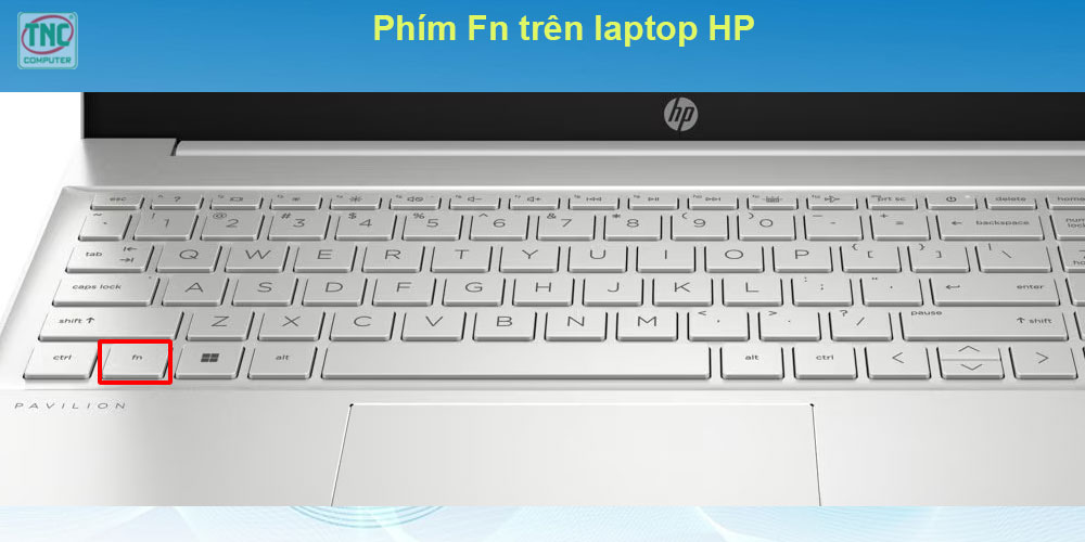 cách tắt phím fn trên laptop hp win 10