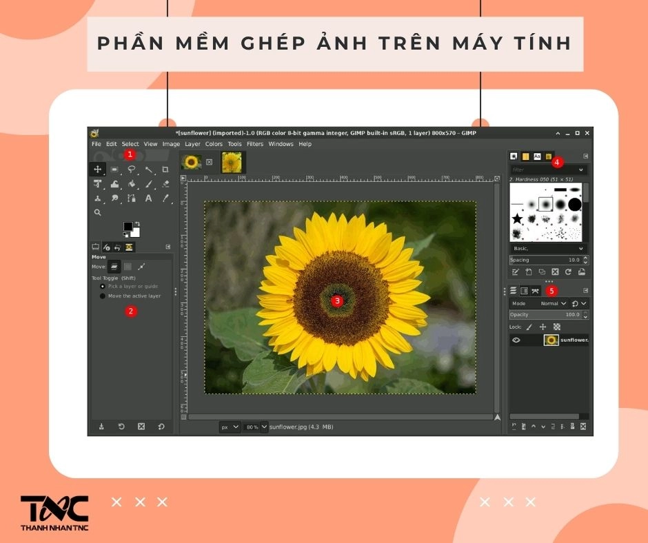 phần mềm ghép ảnh