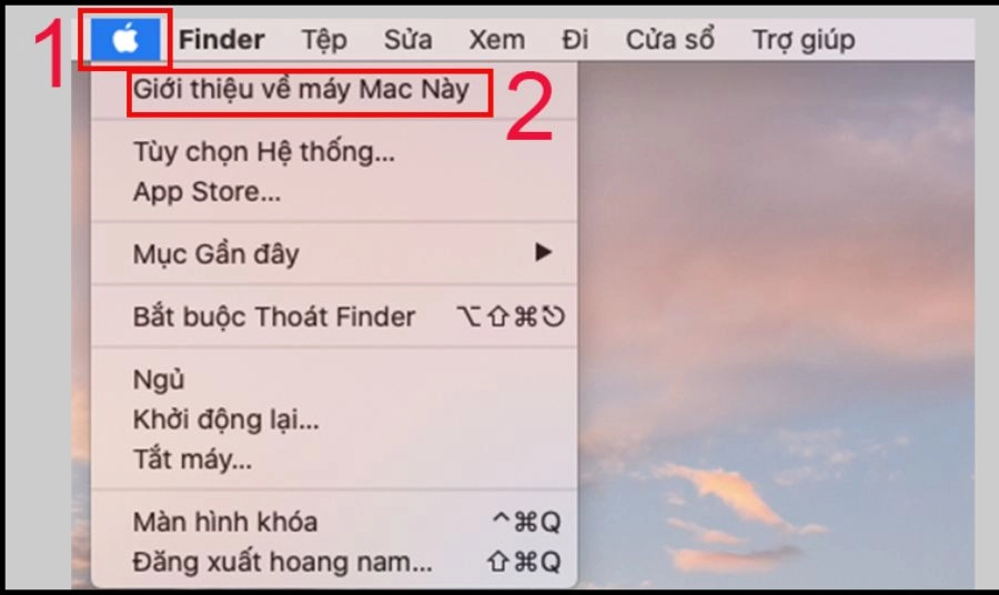 Xóa ứng dụng bằng công cụ Quản lý bộ nhớ (Storage Management) Xóa ứng dụng bằng công cụ Quản lý bộ nhớ (Storage Management)