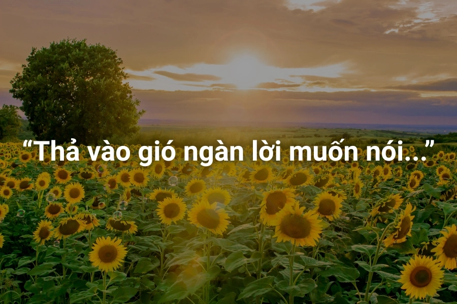 Tổng hợp các font chữ đẹp Tiếng Việt cần thiết cho bạn sử dụng