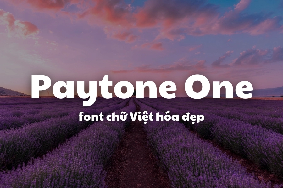 Tổng hợp các font chữ đẹp Tiếng Việt cần thiết cho bạn sử dụng