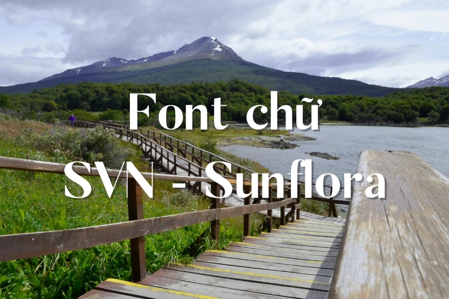 Tổng hợp các font chữ đẹp Tiếng Việt cần thiết cho bạn sử dụng