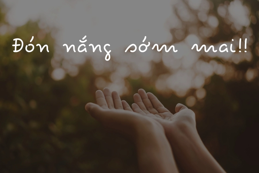 Tổng hợp các font chữ đẹp Tiếng Việt cần thiết cho bạn sử dụng