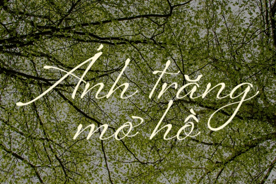 Tổng hợp các font chữ đẹp Tiếng Việt cần thiết cho bạn sử dụng