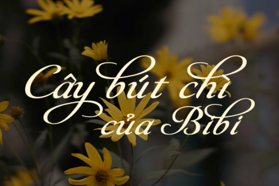 Tổng hợp các font chữ đẹp Tiếng Việt cần thiết cho bạn sử dụng