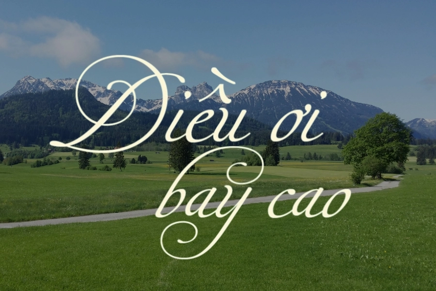 Tổng hợp các font chữ đẹp Tiếng Việt cần thiết cho bạn sử dụng