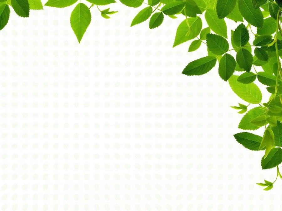 Hình ảnh thuyết trình PowerPoint thiên nhiên 7
