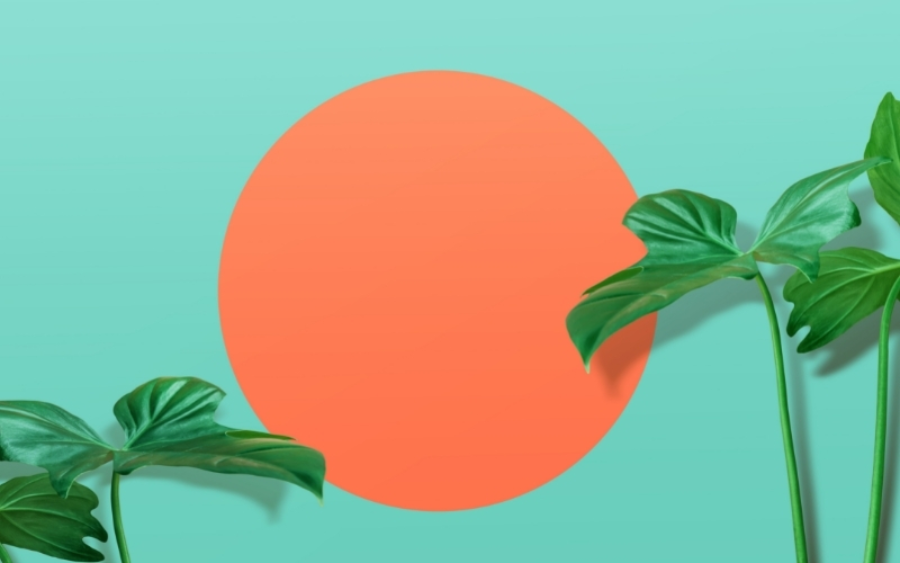 Hình ảnh thuyết trình PowerPoint thiên nhiên 10