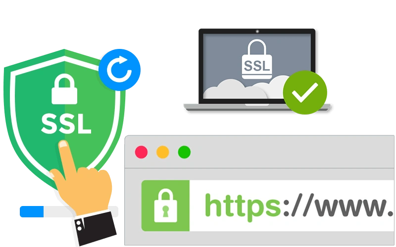 ssl 3