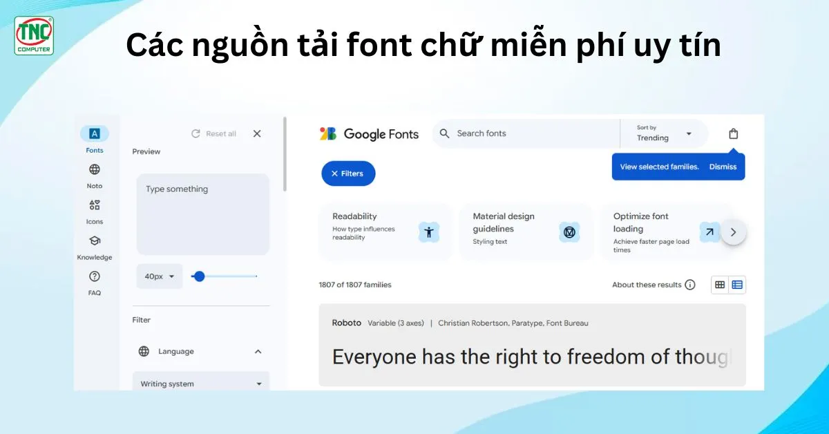 Google Fonts
