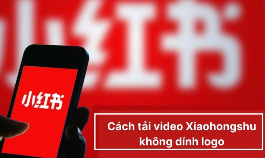 Vì sao nên tải video Xiaohongshu không logo (watermark)?