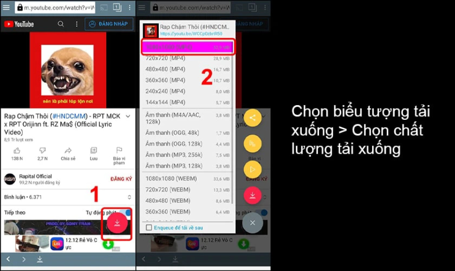 Nhấn vào biểu tượng tải xuống và chọn chất lượng video