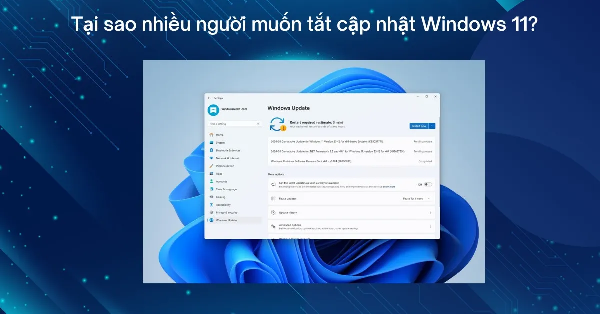 chặn update win 11