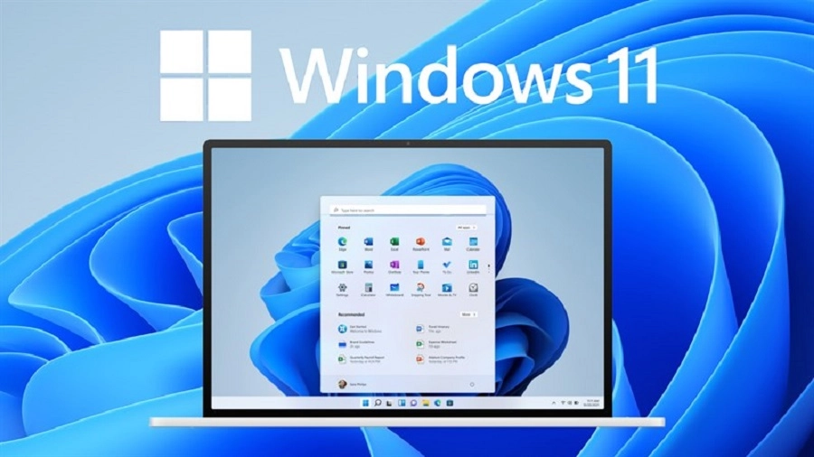 WINDOWS 11 d