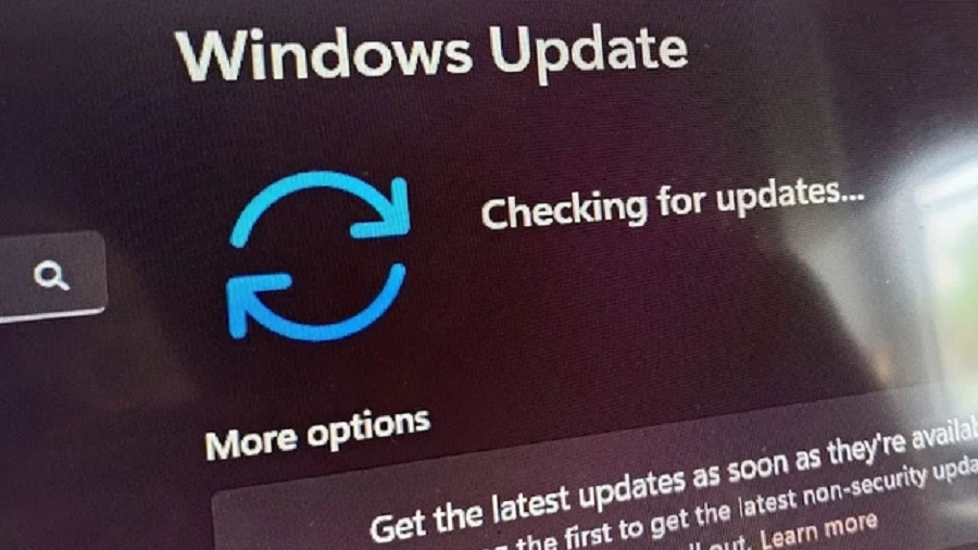 WINDOWS 11 c