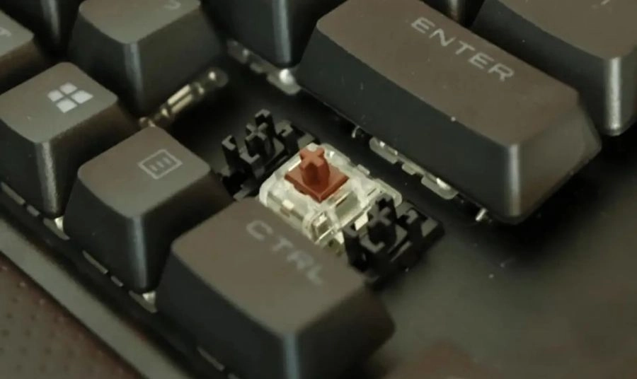 Brown Switch là gì?