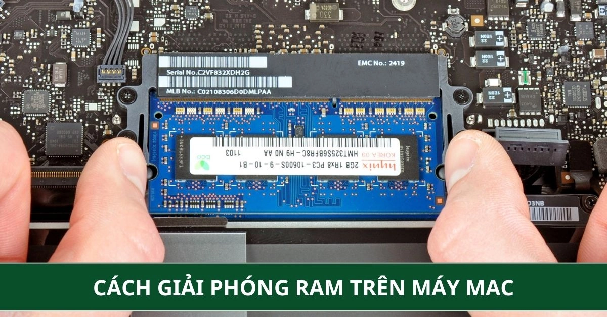 Cách giải phóng RAM trên máy Mac: Các phương pháp hiệu quả 2026