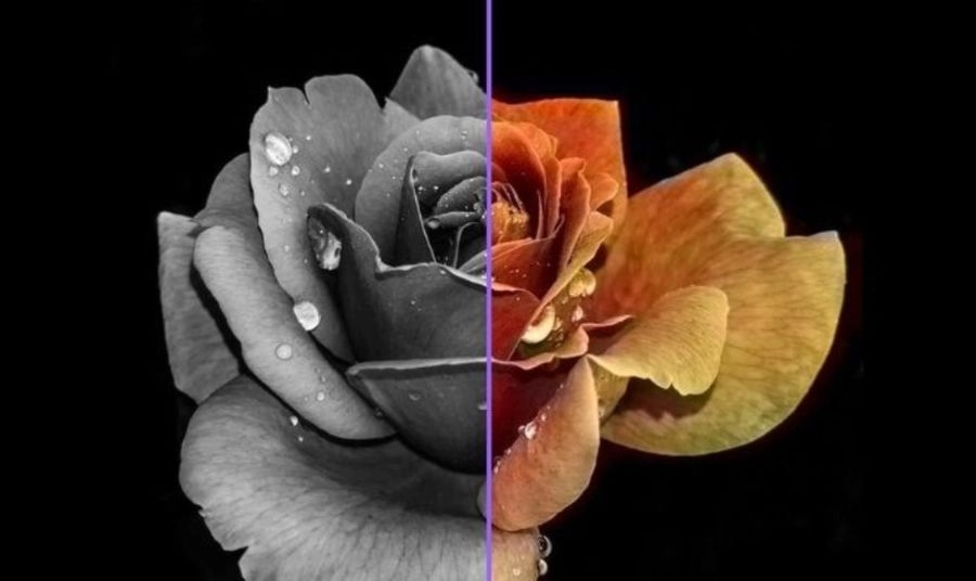 Độ tương phản màn hình máy tính là gì? Độ tương phản màn hình máy tính là gì?