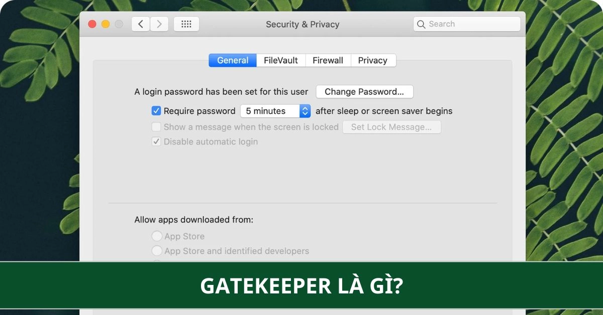 Gatekeeper Là Gì? Hướng Dẫn Cách Bật, Tắt An Toàn Trên MacOS