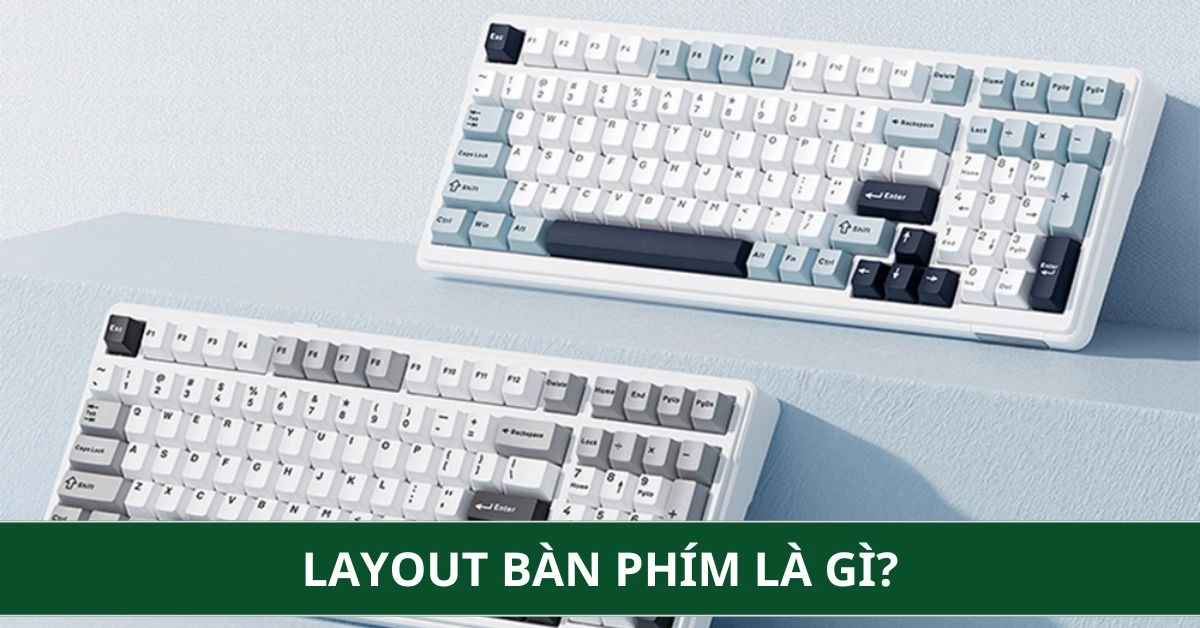 Layout Bàn Phím Là Gì? Tổng Hợp Các Loại Layout Bàn Phím Phổ Biến