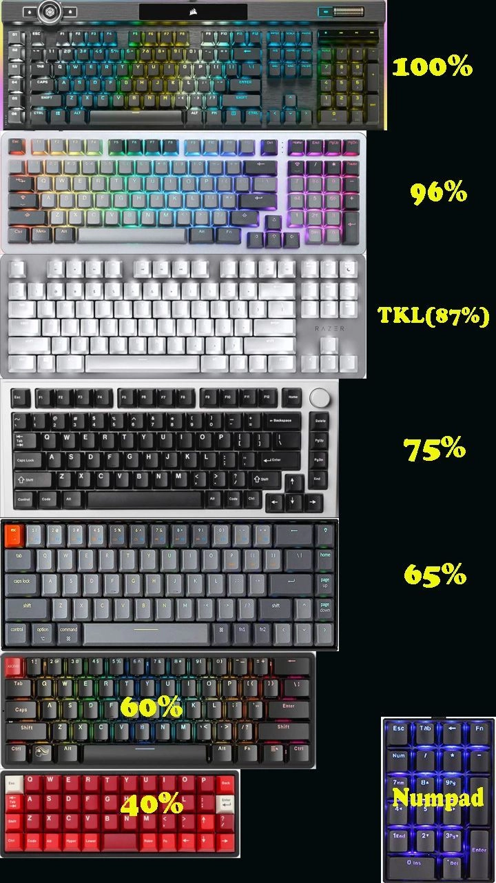 Bố cục bàn phím theo kích thước (Form Factor)