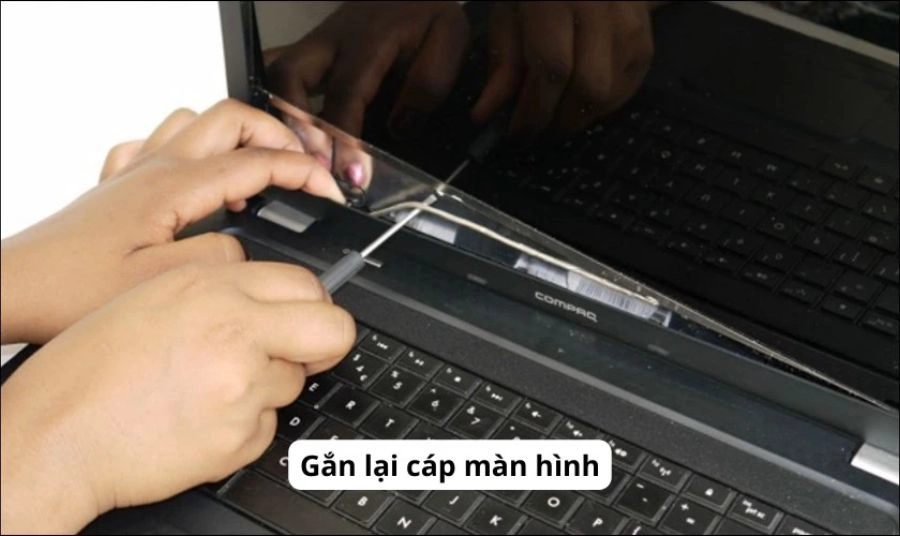 Gắn lại cáp màn hình Laptop đúng chuẩn khi bị lỏng nhẹ
