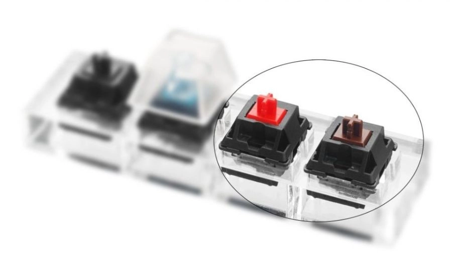 So sánh Red Switch và Brown Switch: Đâu là lựa chọn cho bạn?