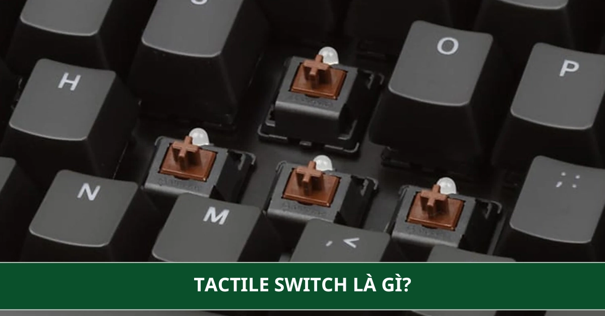 Tactile Switch Là Gì? Phân Biệt Chi Tiết Với Linear Và Clicky