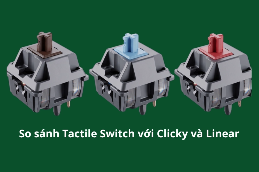 So sánh Tactile Switch với Linear và Clicky So sánh Tactile Switch với Linear và Clicky