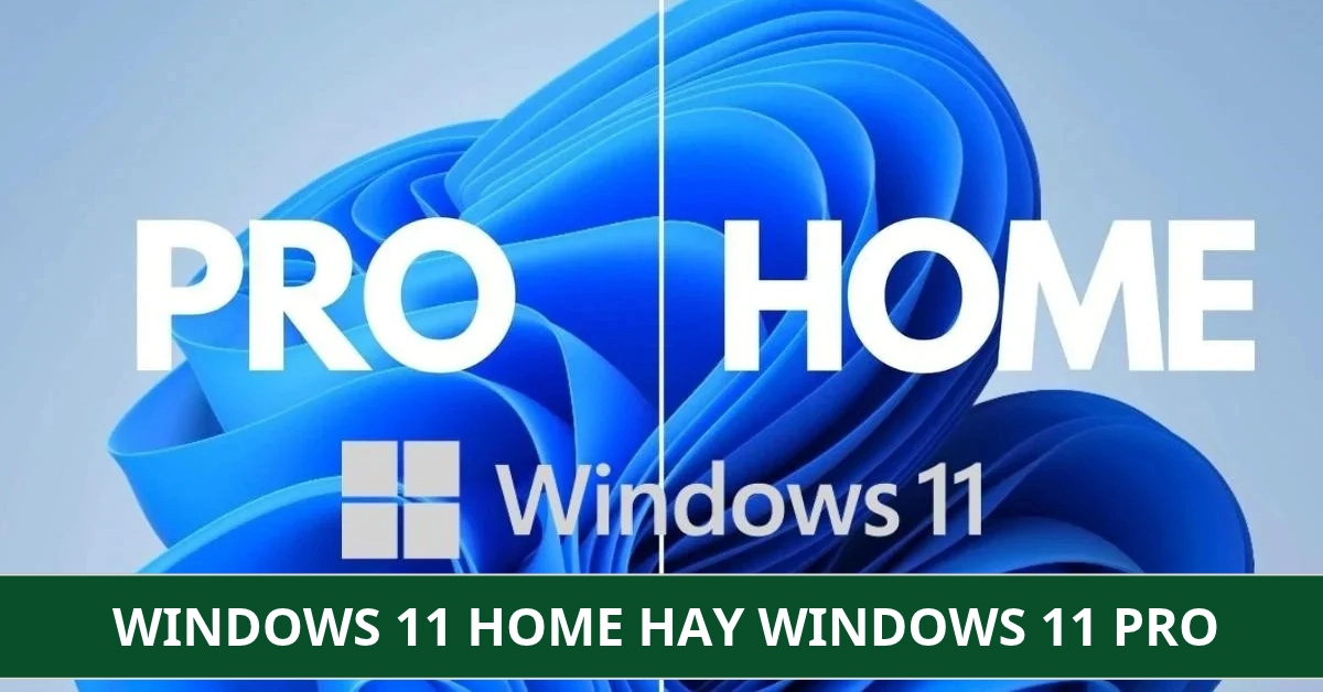 Windows 11 Home hay Windows 11 Pro: Đâu là lựa chọn tối ưu nhất?