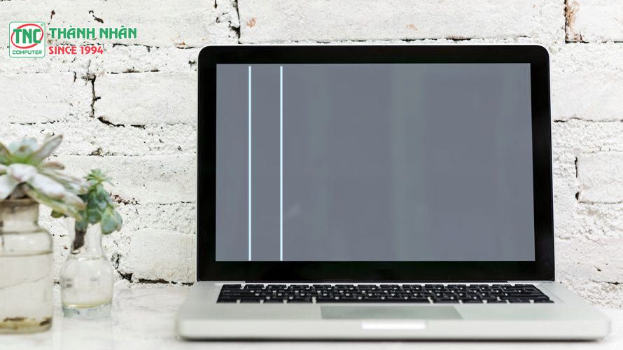 màn hình máy tính bị kẻ sọc