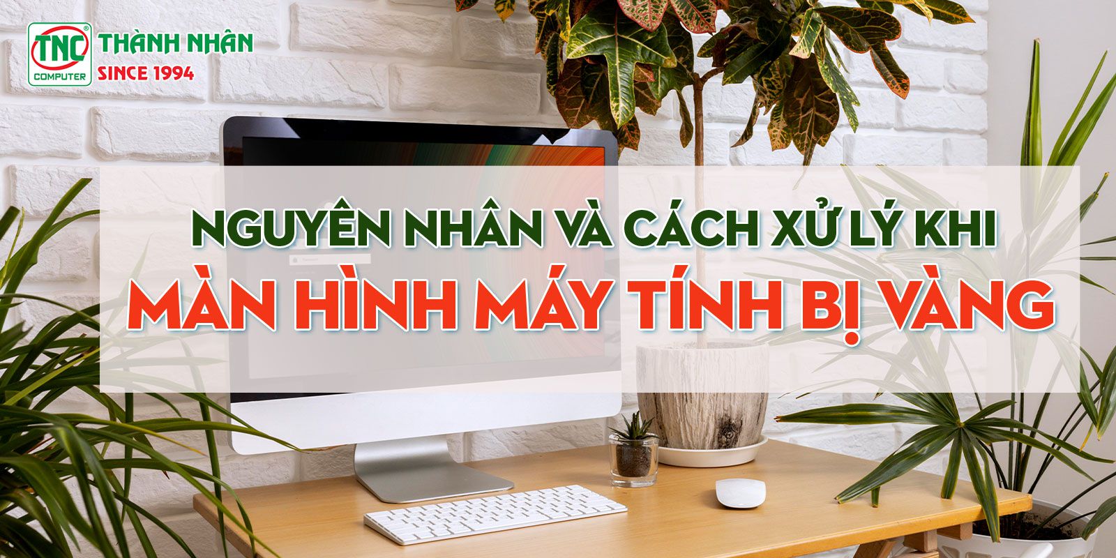 Màn hình máy tính bị ố vàng