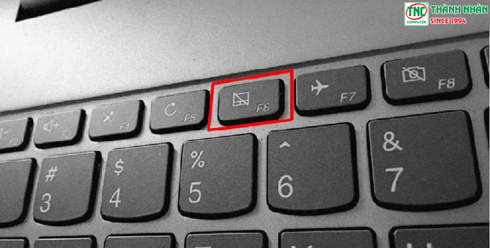 Nhấn tổ hợp phím có biểu tượng Touchpad + phím Fn