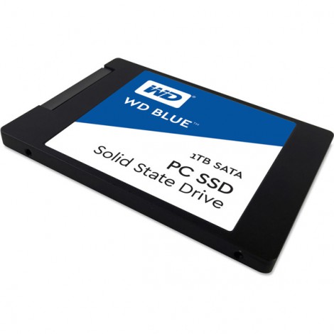 Ổ cứng SSD 1TB Western Digital WDS100T2B0A