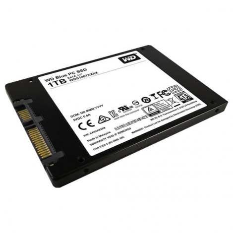 Ổ cứng SSD 1TB Western Digital WDS100T2B0A