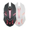 product-tab-1