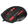 product-tab-1