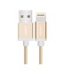 Cable USB 2.0 sang Lightning Ugreen 30587