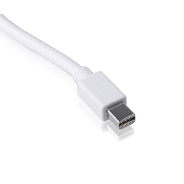 product-tab-2