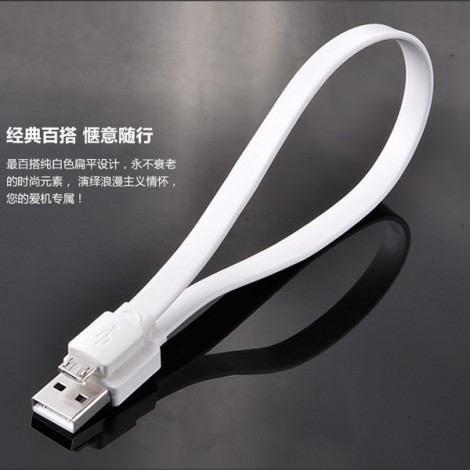 Cable USB 2.0 Ugreen 10394